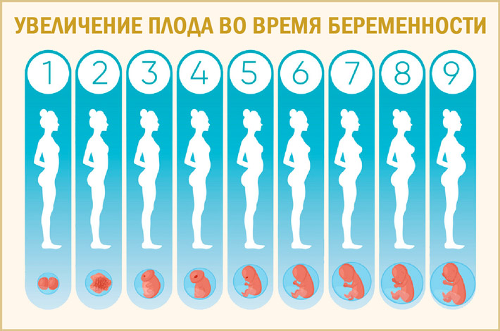 Можно ли спать на животе беременным 