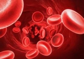 Низкий гемоглобин у беременных: признаки анемии и методы нормализации белка 