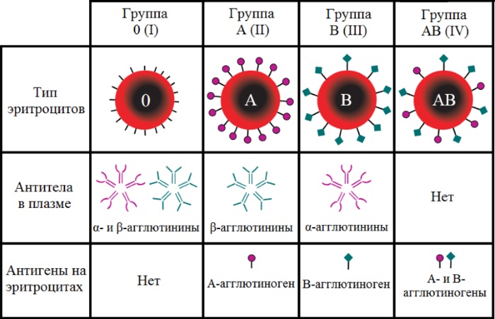 Условия сдачи крови на донорство 