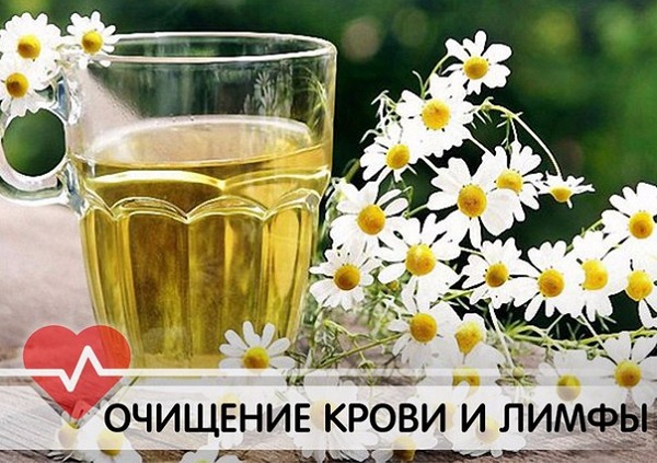 Чистка лимфы солодкой и Энтеросгелем: отзывы врачей 