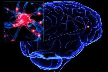 Характерные черты посттравматической энцефалопатии головного мозга и код болезни по МКБ 10 