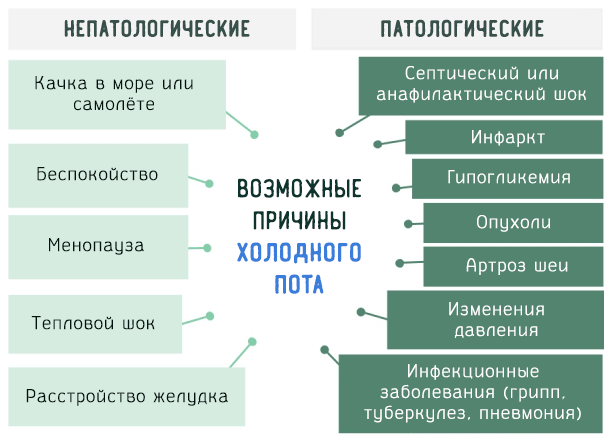 Причины холодного пота у человека 