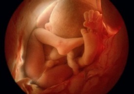 36 неделя беременности: тянет низ живота, особенности шейки матки 