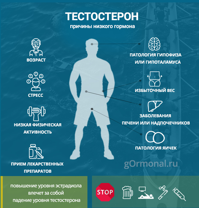 Чем грозит пониженный показатель тестостерона? 