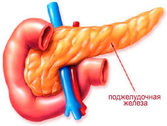 Что означают диффузные изменения поджелудочной железы, каковы их симптомы и лечение 