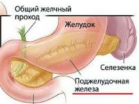 Что предпринять если болит поджелудочная? Первая помощь в домашних условиях 