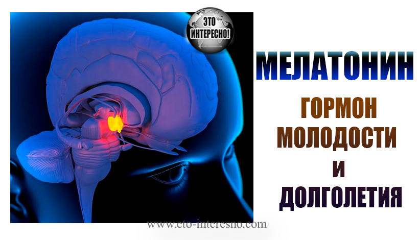 Что такое мелатонин, гормон сна и молодости 