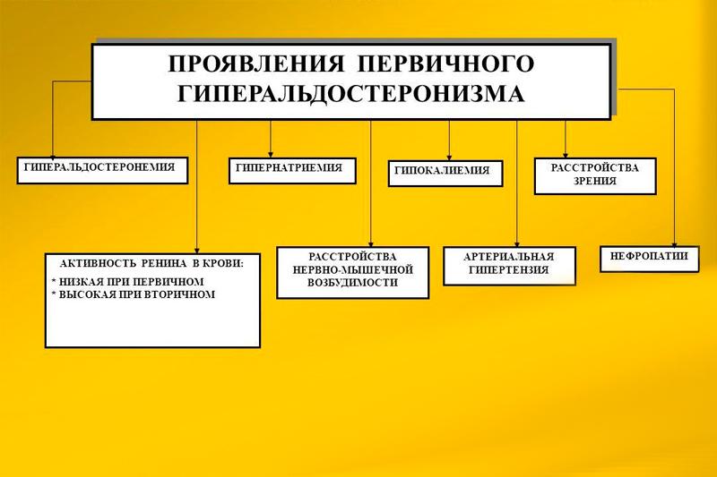 Гиперальдостеронизм: симптомы и лечение 