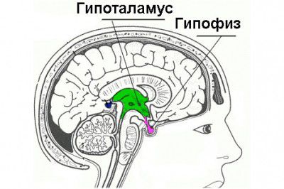 Гипоталамо-гипофизарная недостаточность 