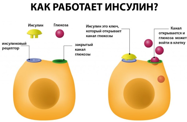 Какая должна быть норма сахара у женщин после 50 лет? 