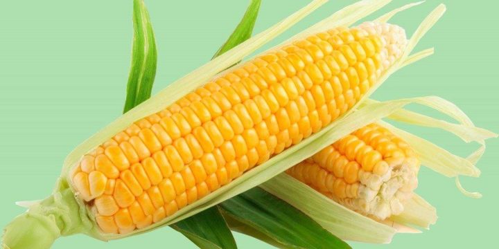 Кукуруза (кукурузные хлопья и рыльца) при панкреатите, можно ли кашу? 