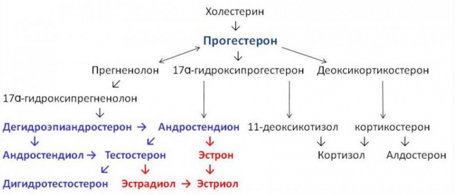 Особенности использования хорионического гонадотропина 