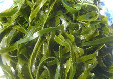 Особенности введения морской капусты в рацион больных панкреатитом 