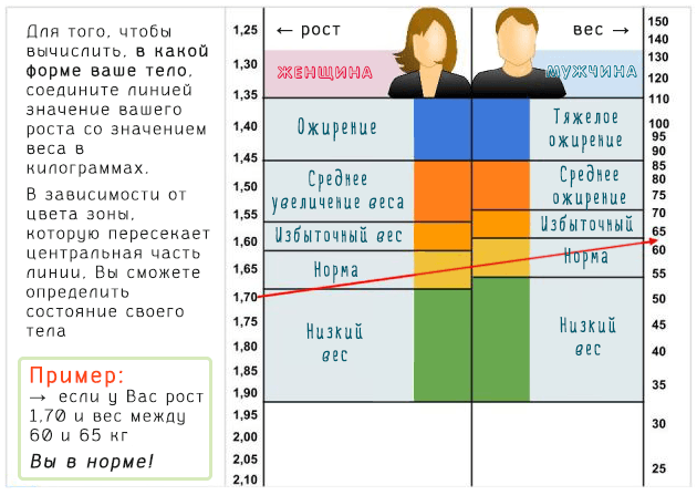 Абдоминальное ожирение у женщин и мужчин: причины, лечение, диета 