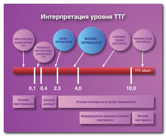 Почему гормон ТТГ бывает повышен 