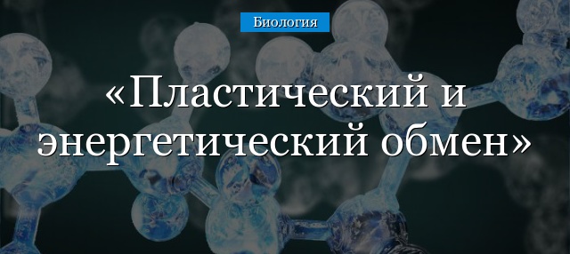 Процессы пластического и энергетического обмена в клетке 