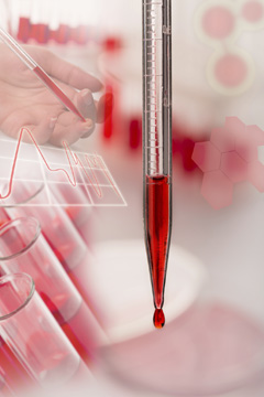 Расшифровка результатов анализов крови на гормоны 