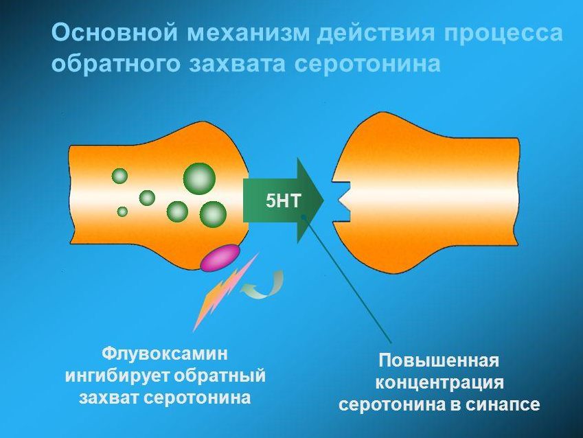 Влияние селективных ингибиторов обратного захвата серотонина на настроение 