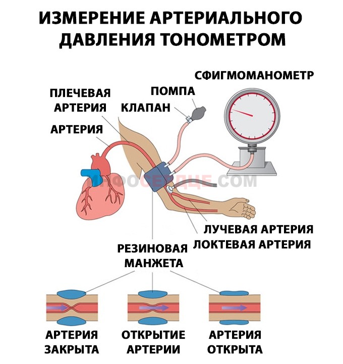 Что такое пульсовое давление, его нормы 