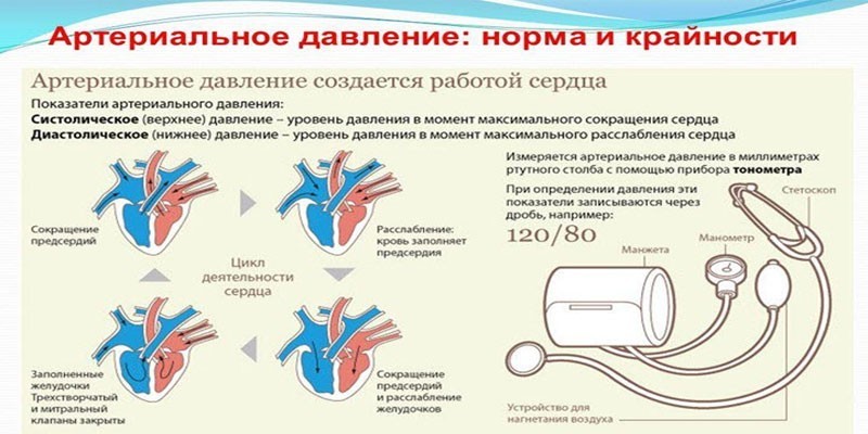 Давление человека: возрастные показатели, как правильно его измерять и причины отклонений от нормы 