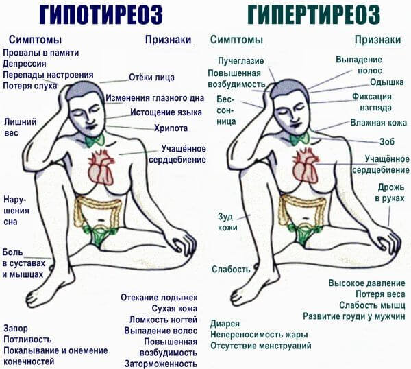 Какой пульс считается нормальным для человека того или иного возраста: сводная таблица значений по годам 