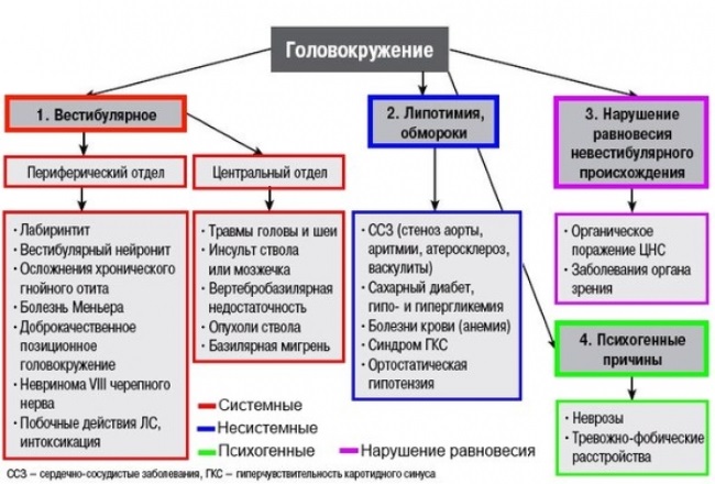 Причины головокружения и учащенного сердцебиения 