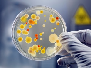 Бактериальная инфекция: симптомы, причины развития и методы диагностики 