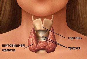 Симптомы хаpaктерные для гипотиреоза 