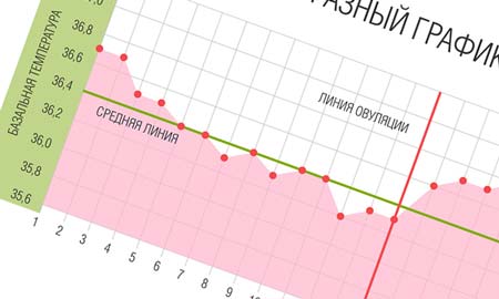 Базальная температура при беременности до задержки график 