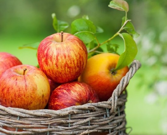 12 беспроигрышных способов заготовки яблок на зиму 