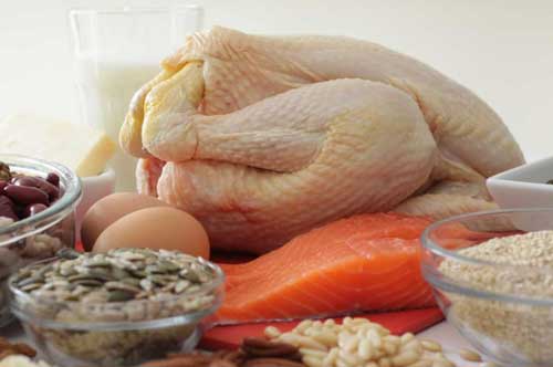 Что относится к белковой пище: список продуктов 