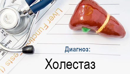 Диета при застое желчи. Топ 8 запрещённых продуктов при холестазе 