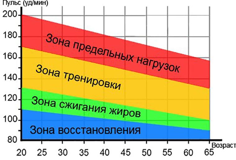 Фитнес-мифы: кардио, пульс и зона жиросжигания 